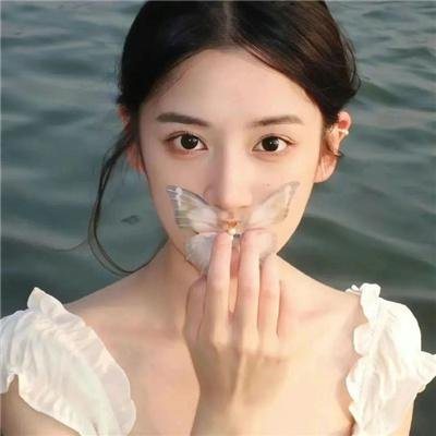 奶牛阴谋